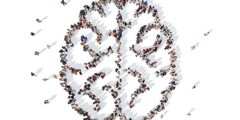 Netværk skal skabe viden