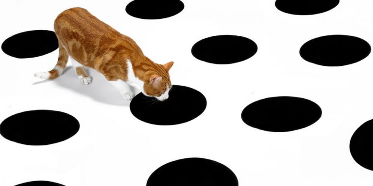 Sådan overvinder du din (check email) vane