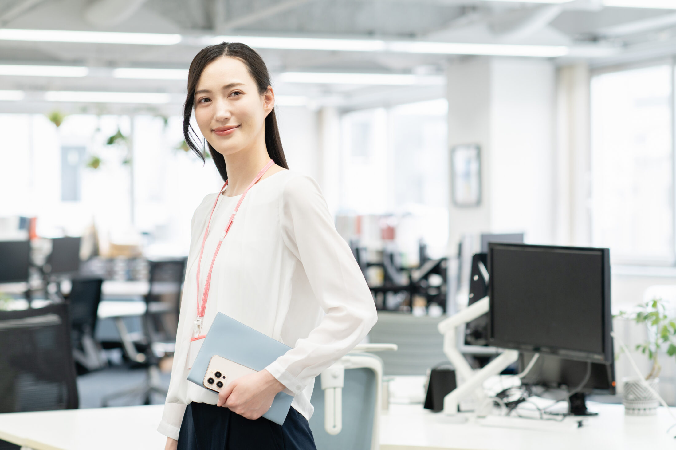 IT Enterprise Arkitekter​